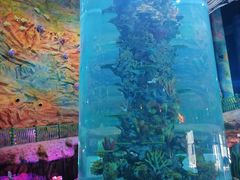 -青岛嘉年华主题乐园