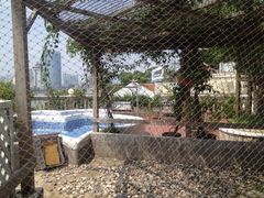 外景-娜娜度假小旅馆