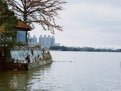 -喜洲吧·江畔老船厂·庭院餐厅(喜临院店)