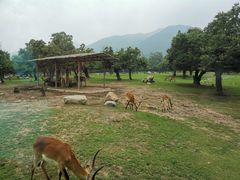 -西安秦岭野生动物园