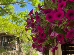 -北京水岸山吧度假村(雁栖镇店)