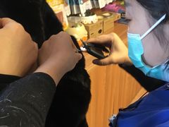 -宠福鑫动物医院·动物疾病诊疗中心(天通苑店)
