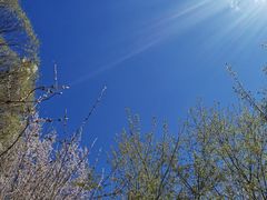 -吉林大学前卫南校区-湖畔餐厅