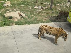 -西安秦岭野生动物园