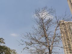 -映月湖公园