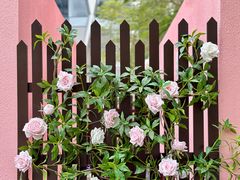 -深圳湾万象城(南山店)