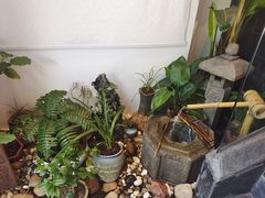 -德迹斋禅意文化茶馆·茶空间·商务洽谈•宴席(桃园店)