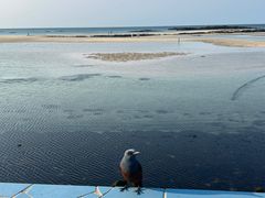 -咸德海水浴场
