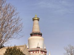 -张掖大佛寺景区