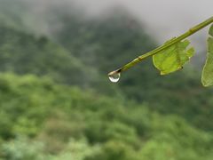 -北京水岸山吧度假村(雁栖镇店)