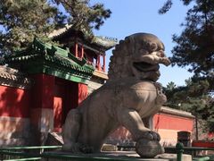 -普乐寺
