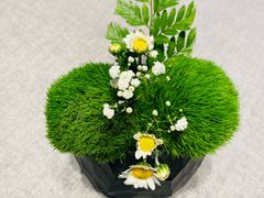 -南堂馆·新川菜(春熙路店)