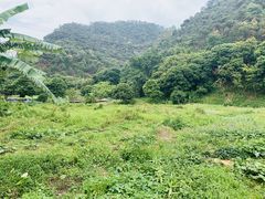 -百里鲜(羚羊峡古栈道森林公园店)