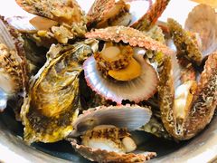 扇贝&nbsp;生耗-宾朋美食海鲜餐厅·特色美食专访(兴海路店)