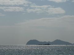 -广东惠东海龟国家级自然保护区