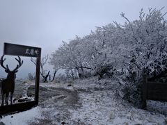 -长沙黑麋峰国家森林公园