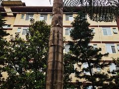 -西南交通大学(峨眉校区)