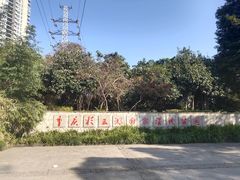 -重庆彩云湖湿地公园