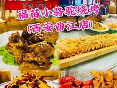 -福苗小骆驼烧烤(大唐不夜城店)