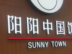 -阳阳中国饭(北京荟聚店)