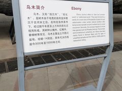 -金沙遗址博物馆