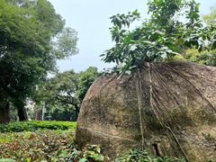 -荔枝公园(福田区)