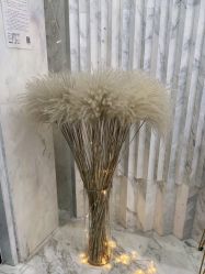 -上海漾颜医疗美容