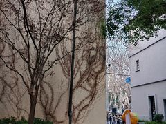 -徐家汇源景区-衡山坊