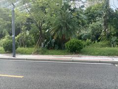 -华侨大学(厦门校区)