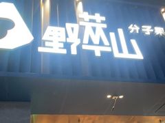 门面-野萃山·潮汕厚果汁(十亩地店)