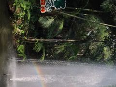 -绿光森林餐厅