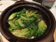-十六台·经典广东菜(德外大街店)