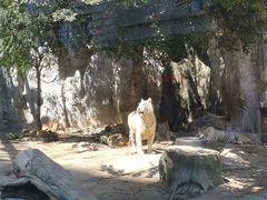 -灵玲国际马戏城