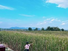 -漩门湾国家湿地公园