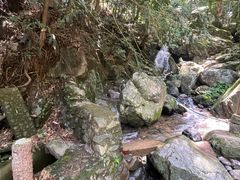 -藏龙百瀑风景区