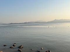 -深圳湾公园(南山区)