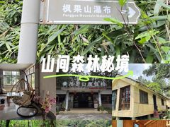 -海南热带雨林国家公园吊罗山景区