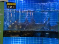 -千岛湖小鱼儿·淳安匠心农家菜