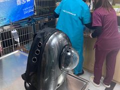 -中农大我爱我爱动物医院·核磁CT·猫病·24小时夜诊中心(石佛营店)