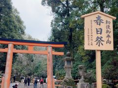 -奈良公园