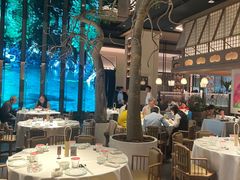 -桂满陇·海市蜃楼·黑金(国金店)