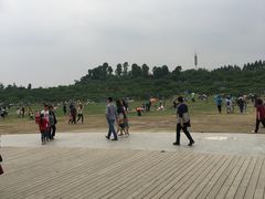 -秀丽东方