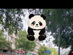 -约翰·菲茨杰拉德·肯尼迪国际机场