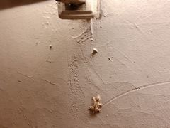 -Catail前苑(前门大街店)