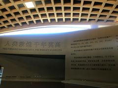 -敦煌莫高窟数字展示中心