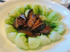 冬菇菜心-上海和平饭店龙凤厅 Dragon Phoenix