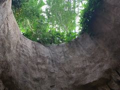-南山植物园