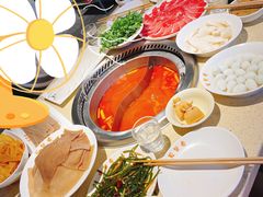 -蜀留香火锅·始于1999·原四川老火锅(白堤路店)