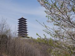 -大伊山景区