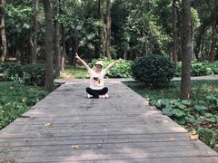 -东湖落雁景区